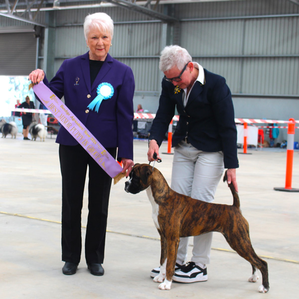 Indi Minor in Group at Bendigo Agi Show