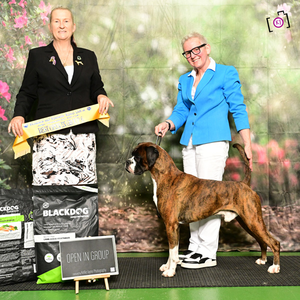 Champion Kesdar Fifty Shades Darker at Tonmar (Marcus)